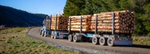 Logging Truck Crash in Montezuma