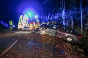 Hall County Single Car Crash