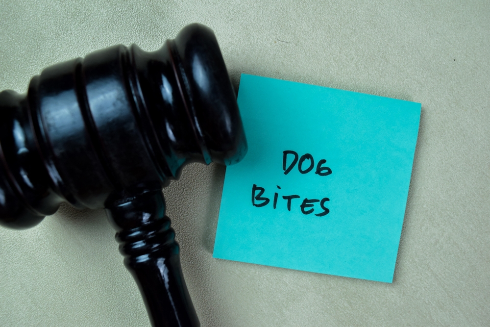 Gavel next to a note labeled dog bites, symbolizing legal claims handled by a Macon dog bite attorney